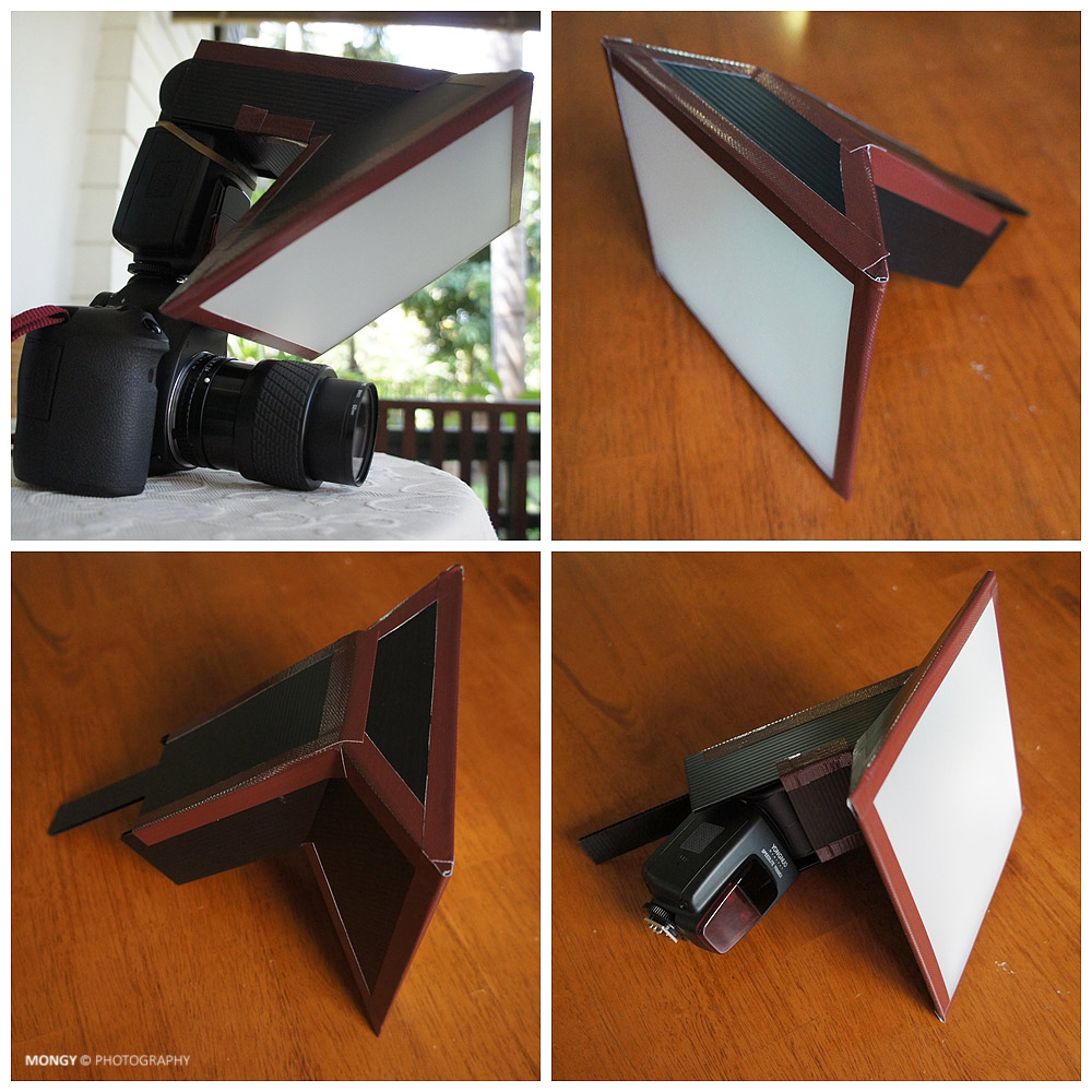 DIY Diffuser Macro Flash เล่นกันดีกว่า +++ - Pantip