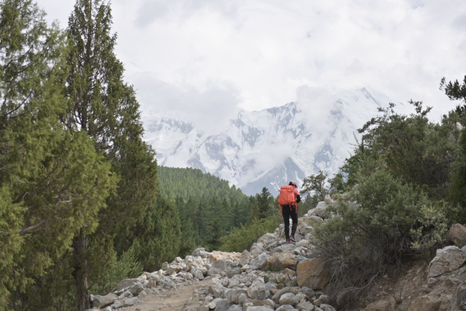 fairy-meadows-pantip