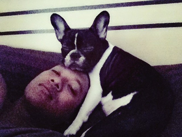 ประสบการณ์ในการเลี้ยง เฟรนบูลด๊อก (French Bulldog) - Pantip