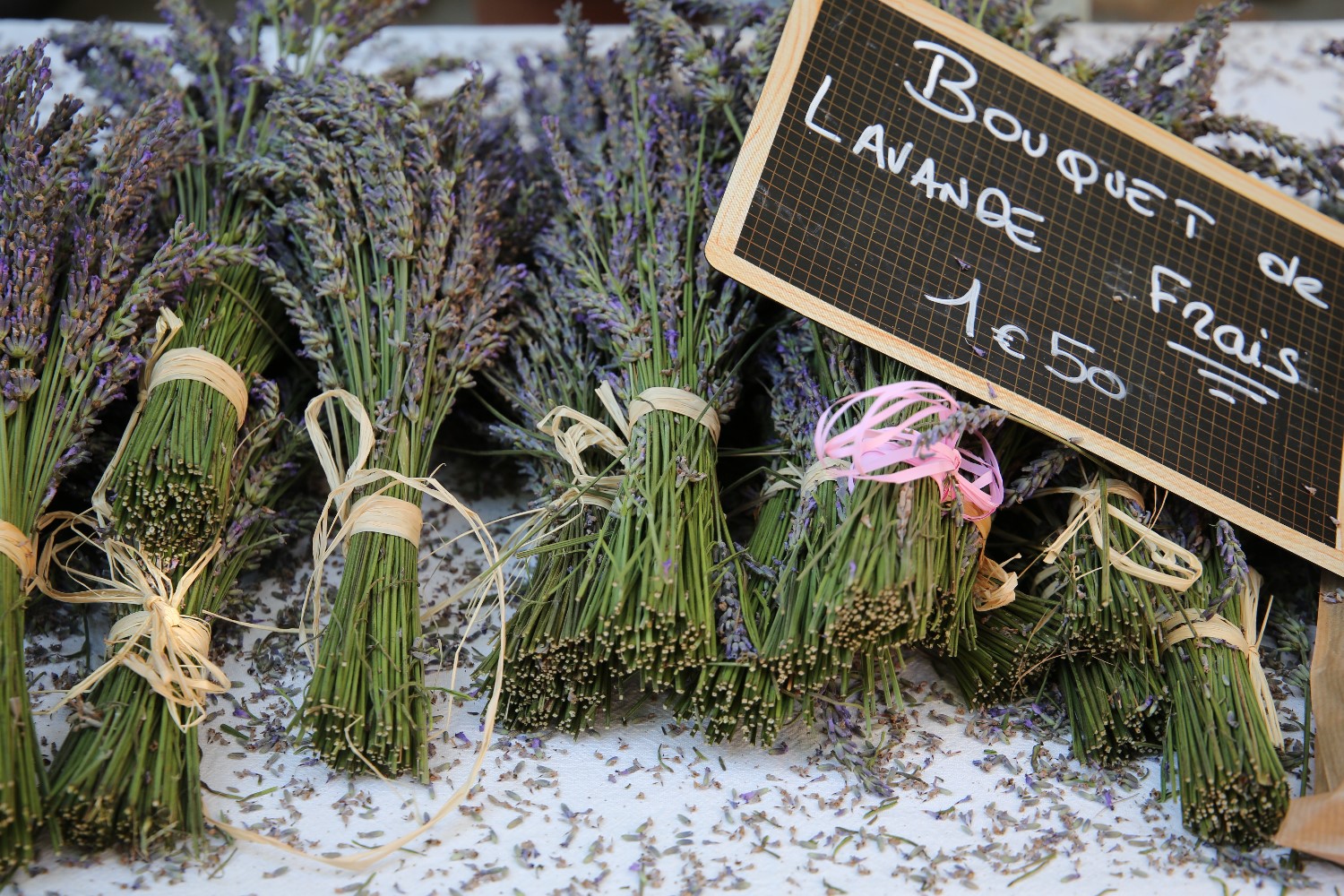 Jermaine lavender