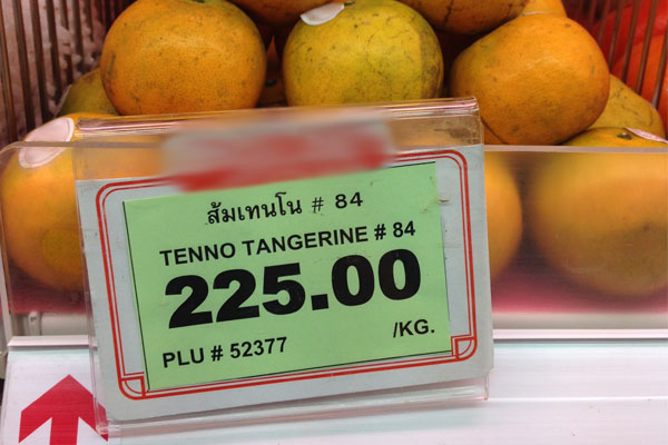 มารีวิว ส้มเทนโน Vs ส้มสายน้ำผึ้ง (งงอะสิส้มเทนโนคือส้มอะไร บอกเลยผมก็งง) -  Pantip