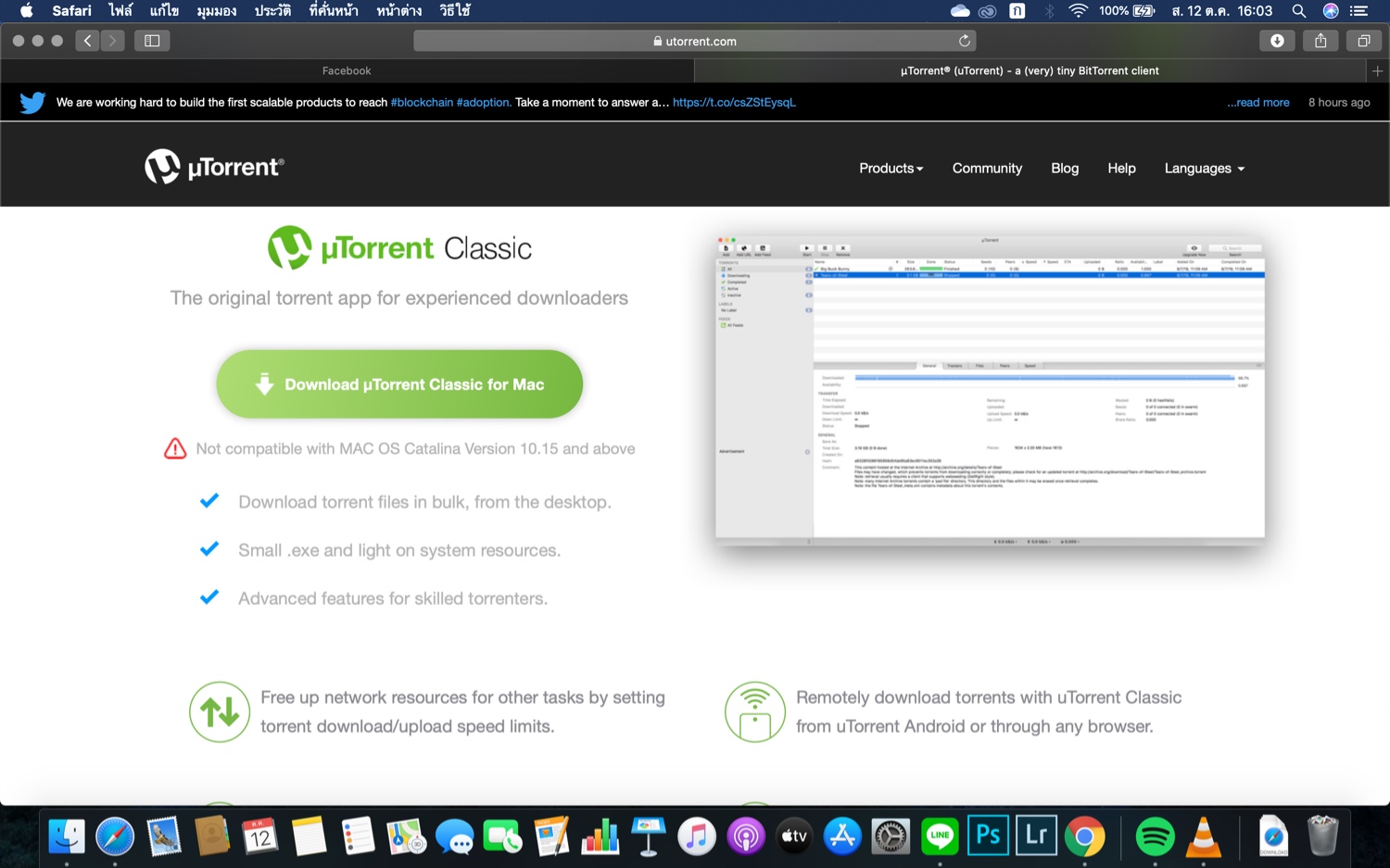 Download utorrent web for mac catalina