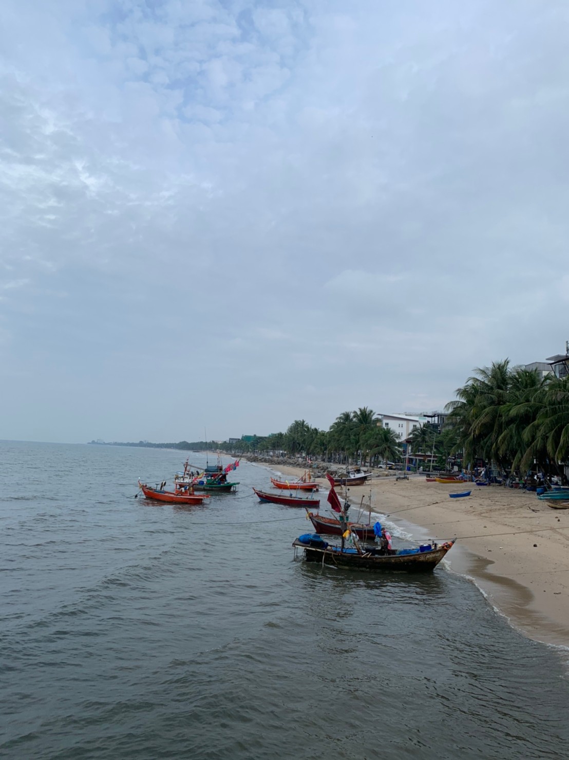 รีวิวตลาดทะเลตอนเช้า ณ หาดวอนนภา บางแสน - Pantip