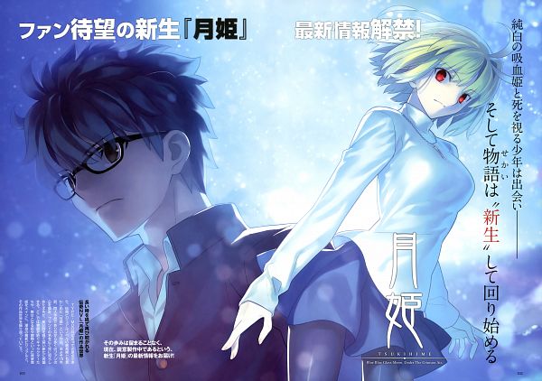 Tsukihime ever after что это