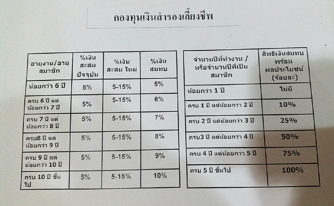 กองทุนเงินสำรองเลี้ยงชีพ ควรเลือกนโยบายการลงทุนแบบไหนดีคะ มี 4 แบบ - Pantip