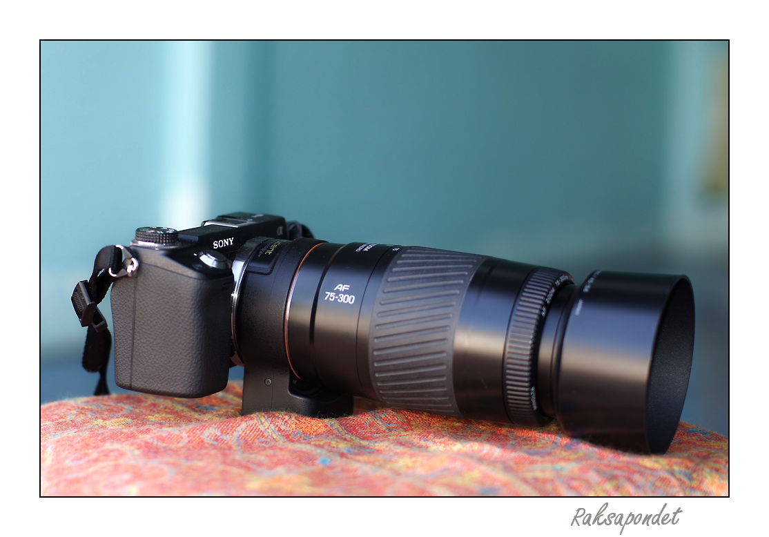 sony a6100 pantip