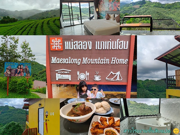 รีวิวที่พักดอยแม่สลอง Maesalong Mountain Home Resort (แม่สลอง เมาเท่นโฮม) -  Pantip