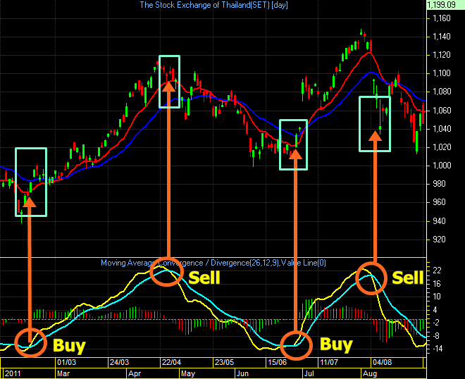 Momentum histogram indicator forex