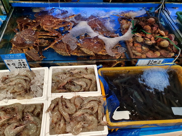 ตลาดปลา Noryangjin Fish Market 2019 - Pantip