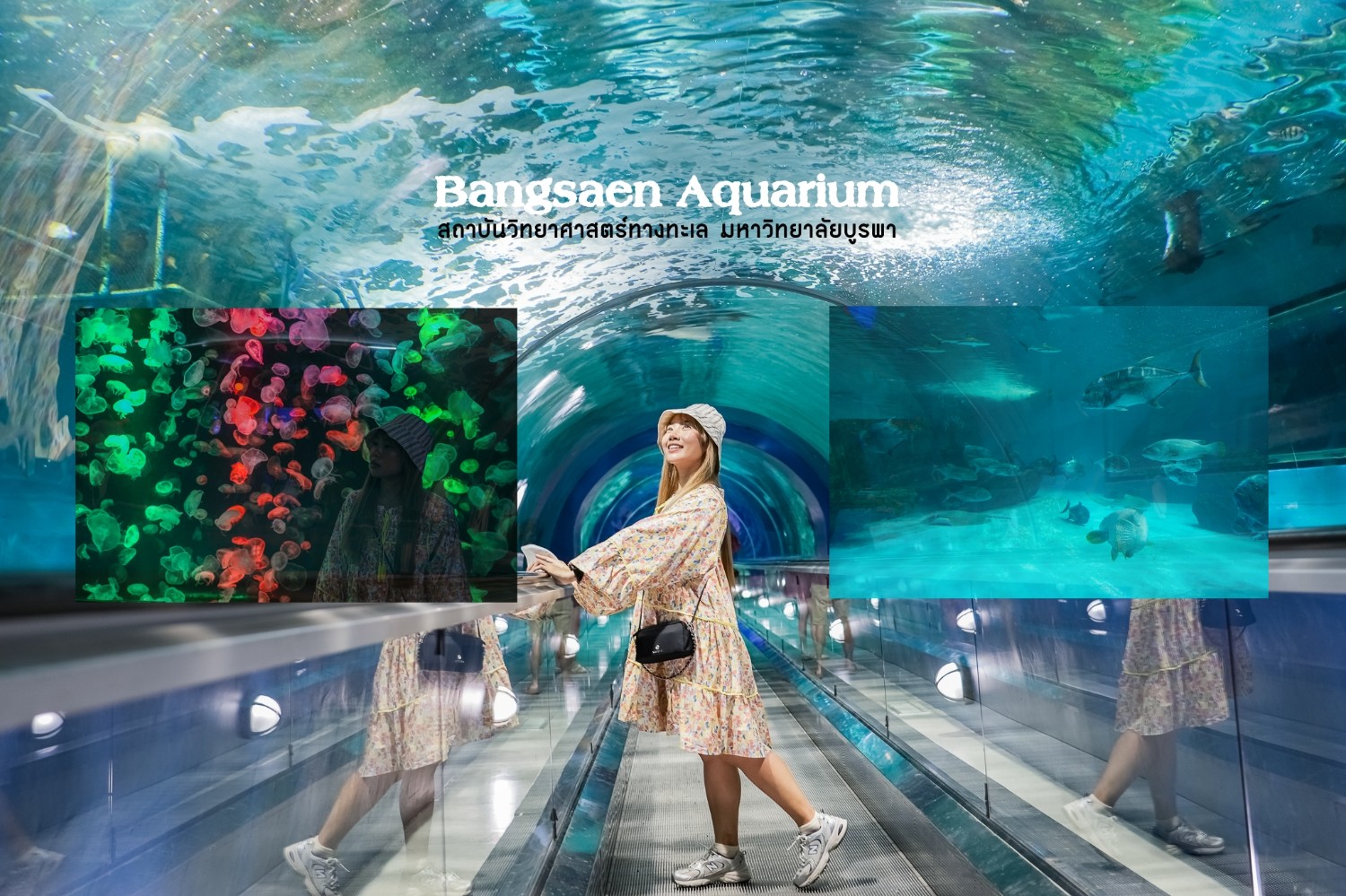 ผจญภัยโลกใต้ท้องทะเล Bangsaen Aquarium บางแสน จ.ชลบุรี - Pantip