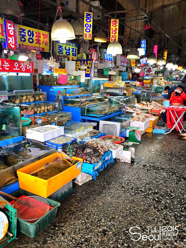 เกาหลี ชิวๆ ยันสว่าง Day 4……ตลาดปลานอร์ยางจิน, คลองชองเกชอน, ตึกซัมจี-กิล -  Pantip
