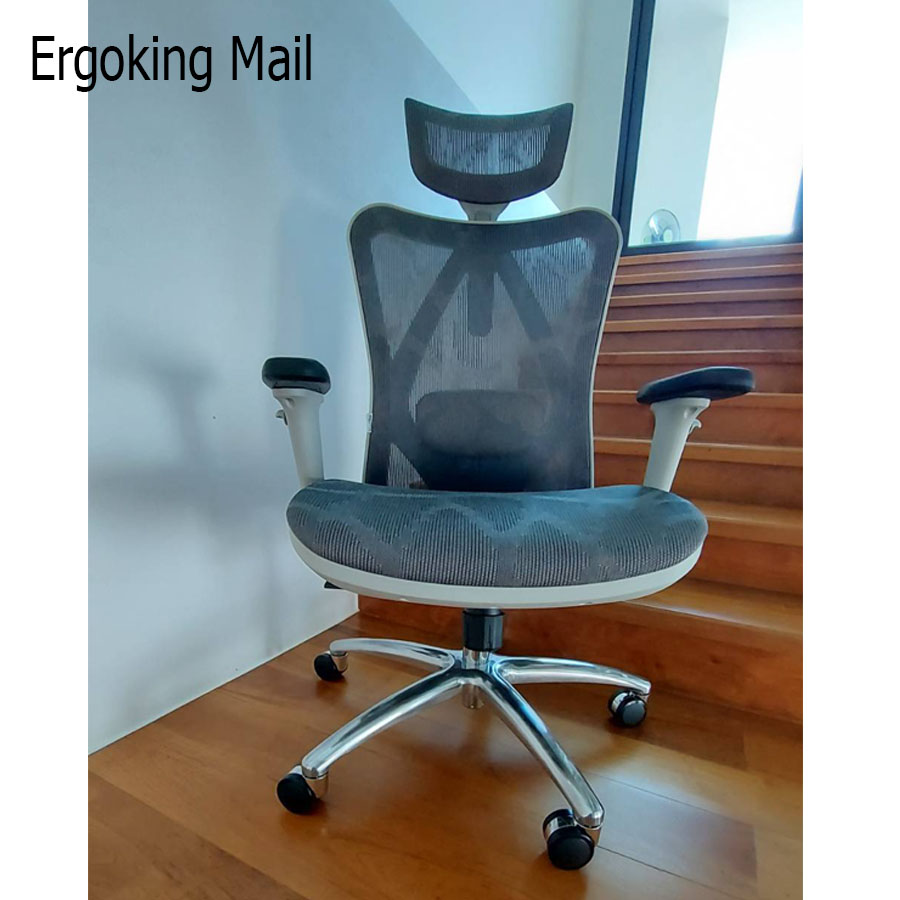 bewell ergonomic chair pantip