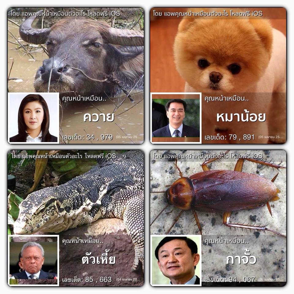 รวมกัน 91+ ภาพ เหมือน สัตว์ คมชัด