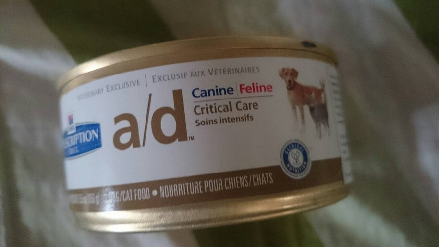 อาหารแมวป่วย Science Diet® a/d และ Royal Canin ถูกๆครับ Pantip