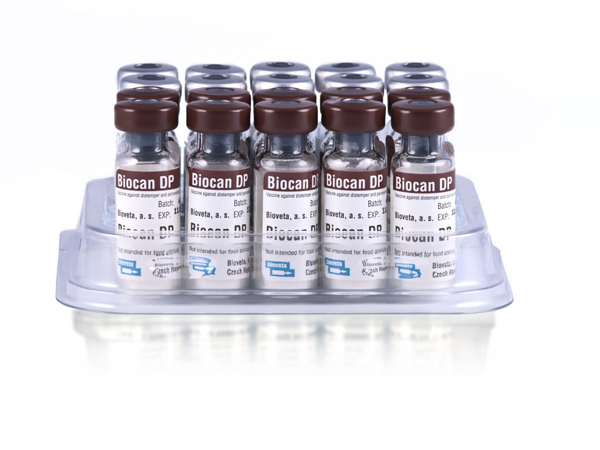 После прививки биокан. Биокан DHPPI вакцина для собак. Вакцина Биокан DHPPI+RL. Биокан DHPPI+LR 10*1доза. Биокан Паппи.