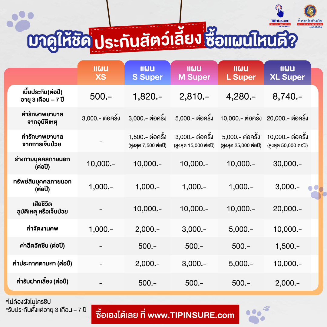 ฟอลคอนประกันภัย ส่งมอบความสุขด้วย “ประกันแฮปปี้ 4 ขา” หมา  แมวแฮปปี้...เจ้าของก็แฮปปี้ - Pantip