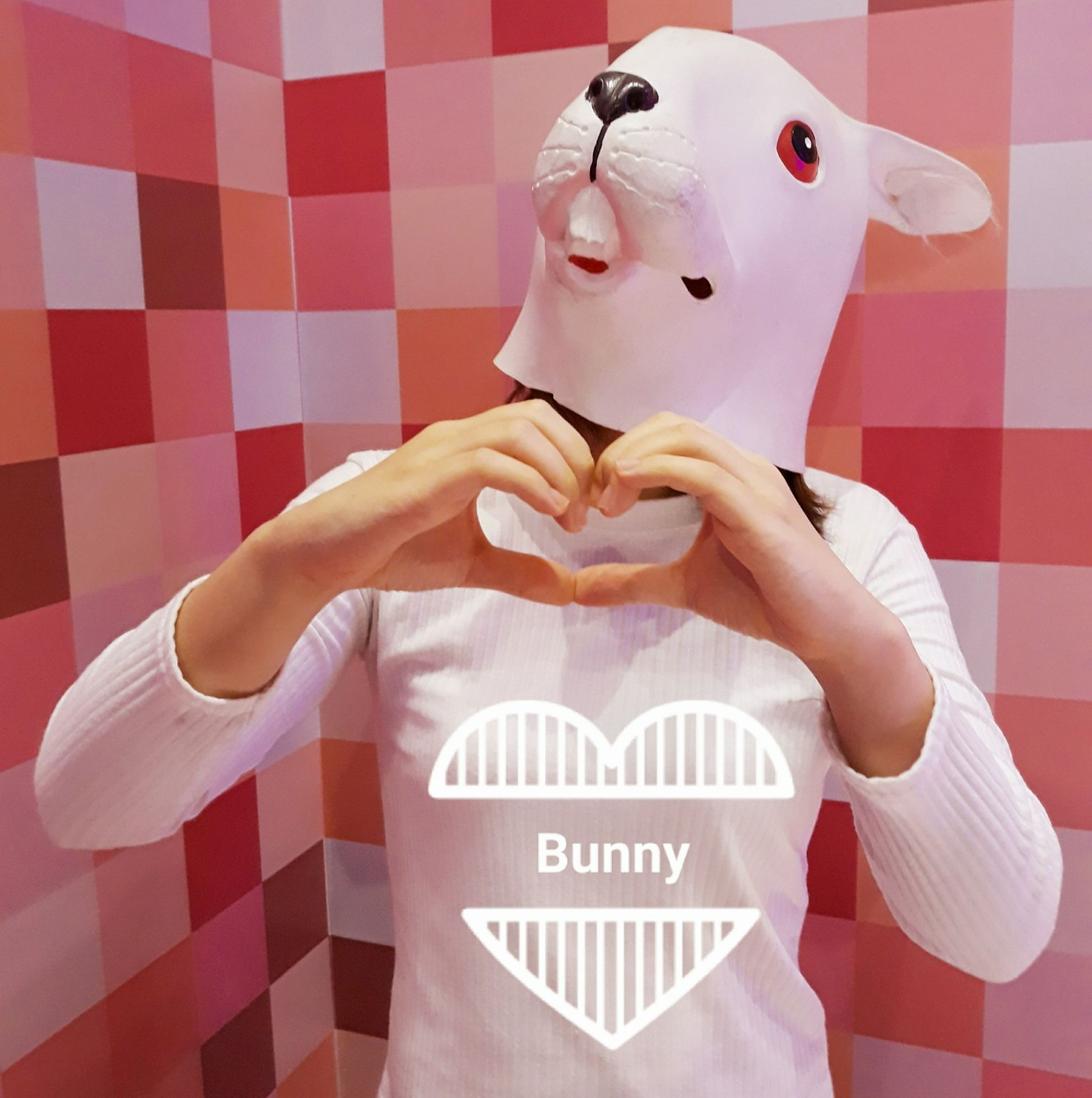 Summer Bunny Ig