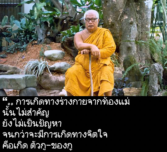 My Image 3