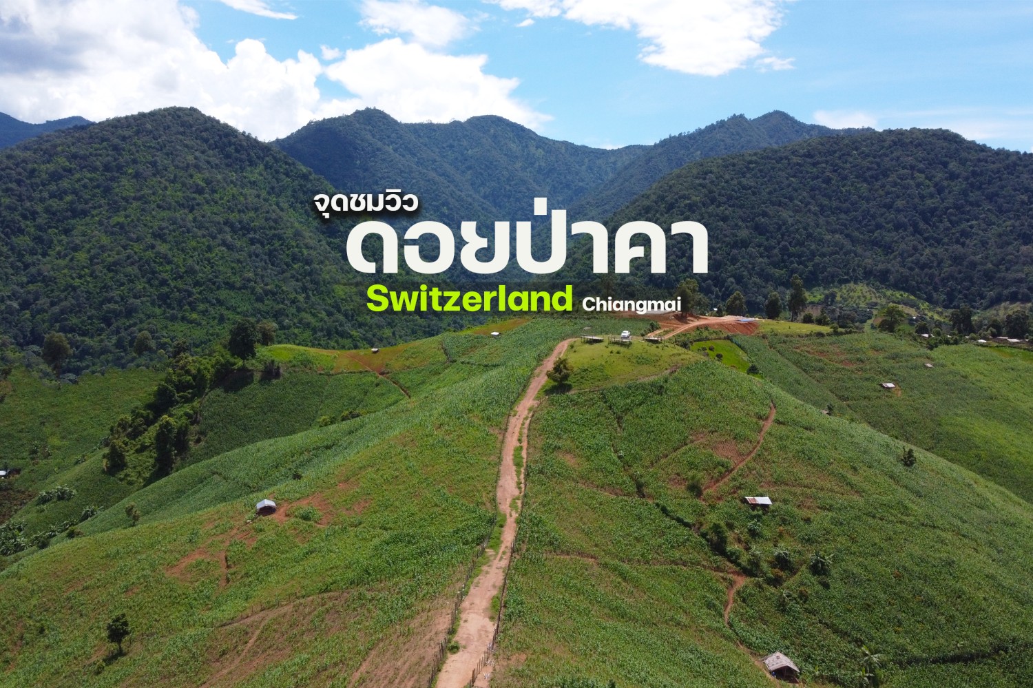 จุดชมวิวดอยป่าคา Switzerland in Chiangmai - Pantip
