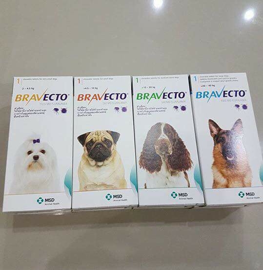 frontline plus pantip