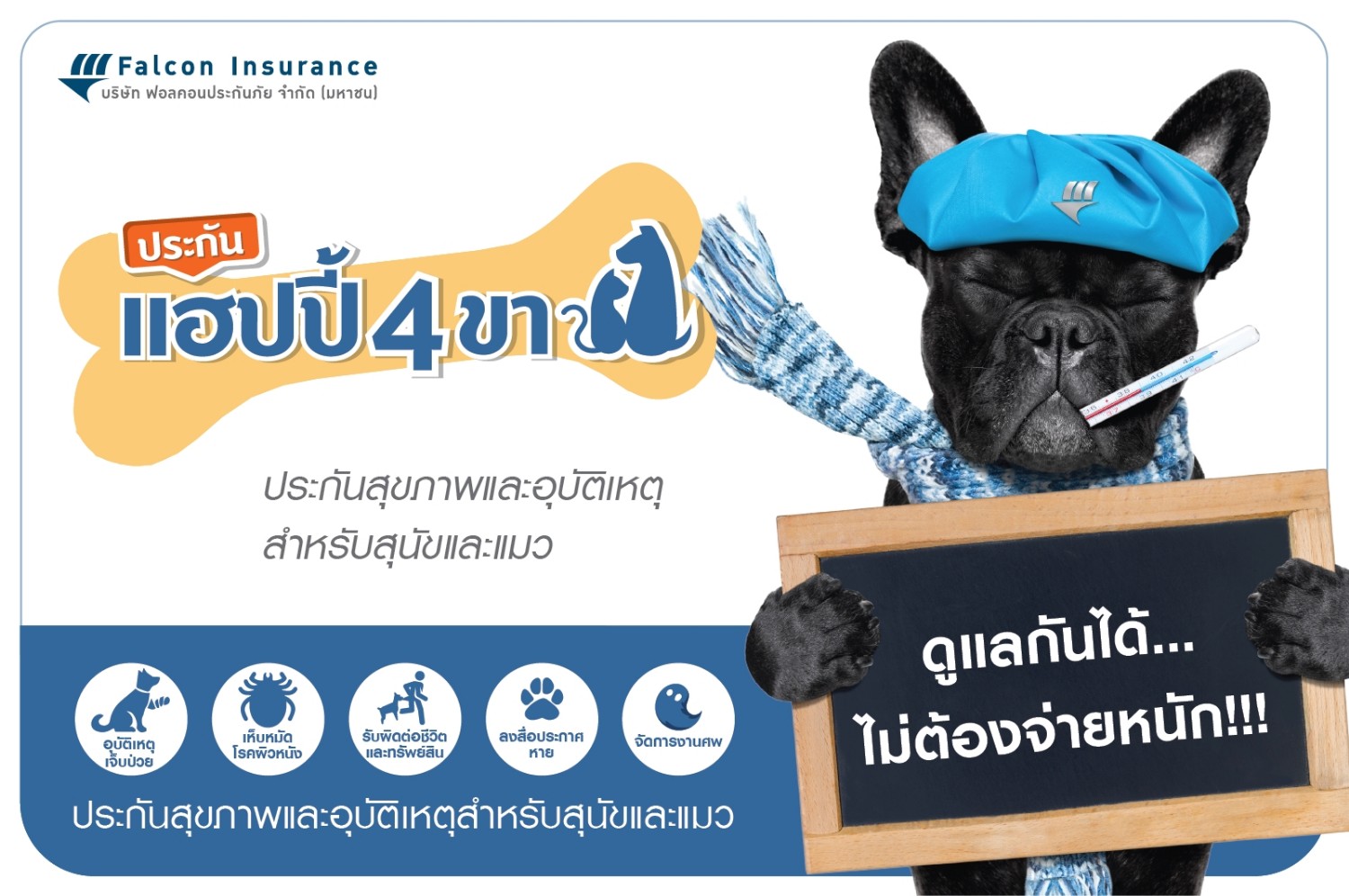 ฟอลคอนประกันภัย ส่งมอบความสุขด้วย “ประกันแฮปปี้ 4 ขา” หมา  แมวแฮปปี้...เจ้าของก็แฮปปี้ - Pantip