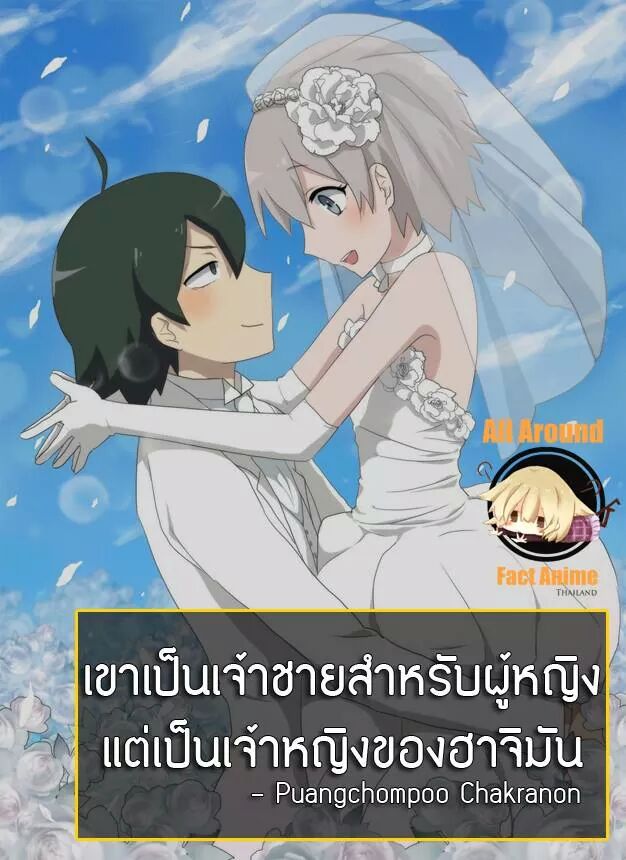 Yahari ore no seishun love come wa machigatteiru ถามเกี่ยวกับนิยายกับ ss3 -  Pantip