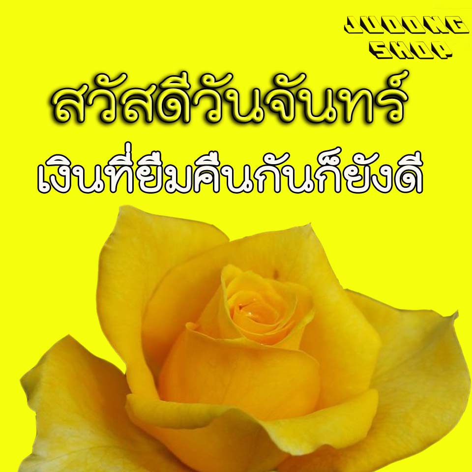 My Image 6