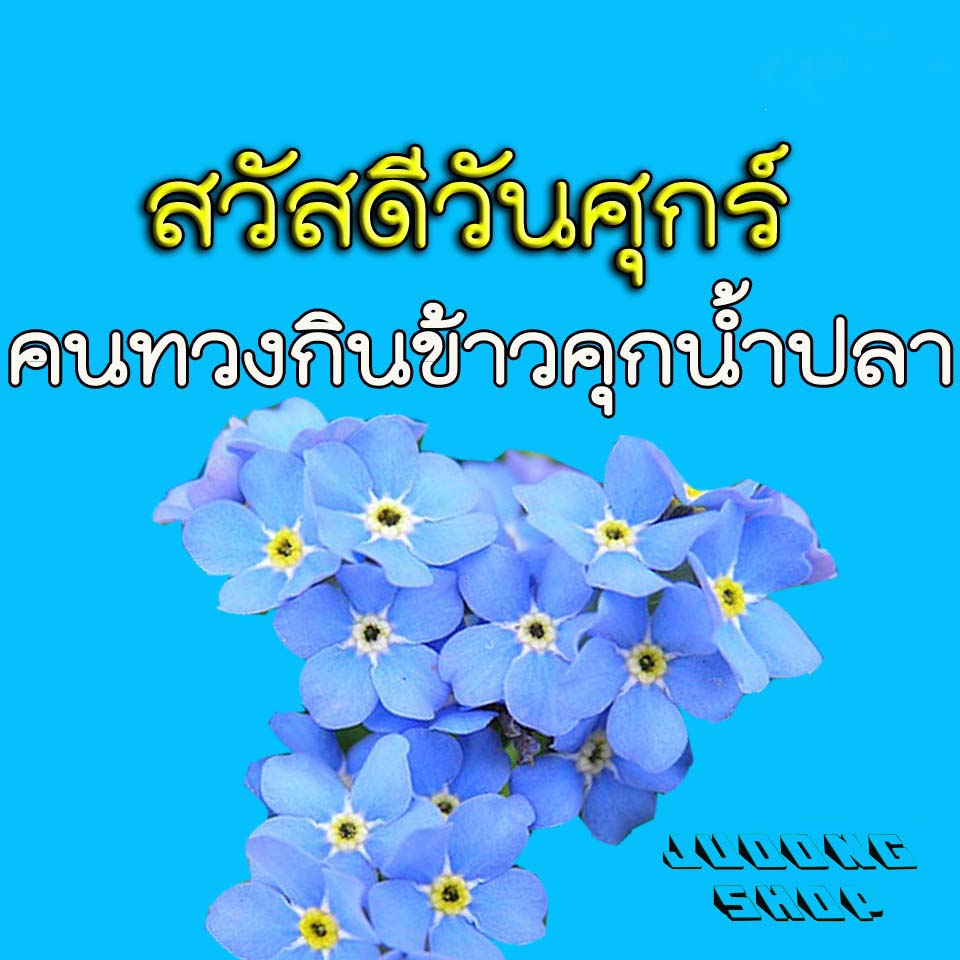 My Image 20