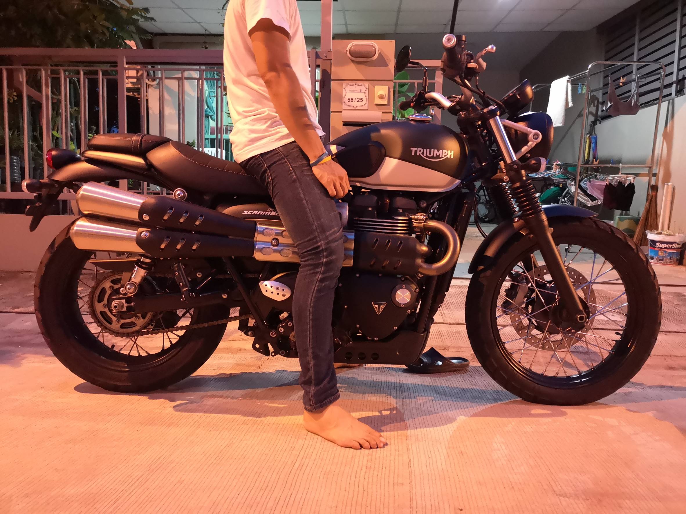 Triumph street 2024 scrambler pantip