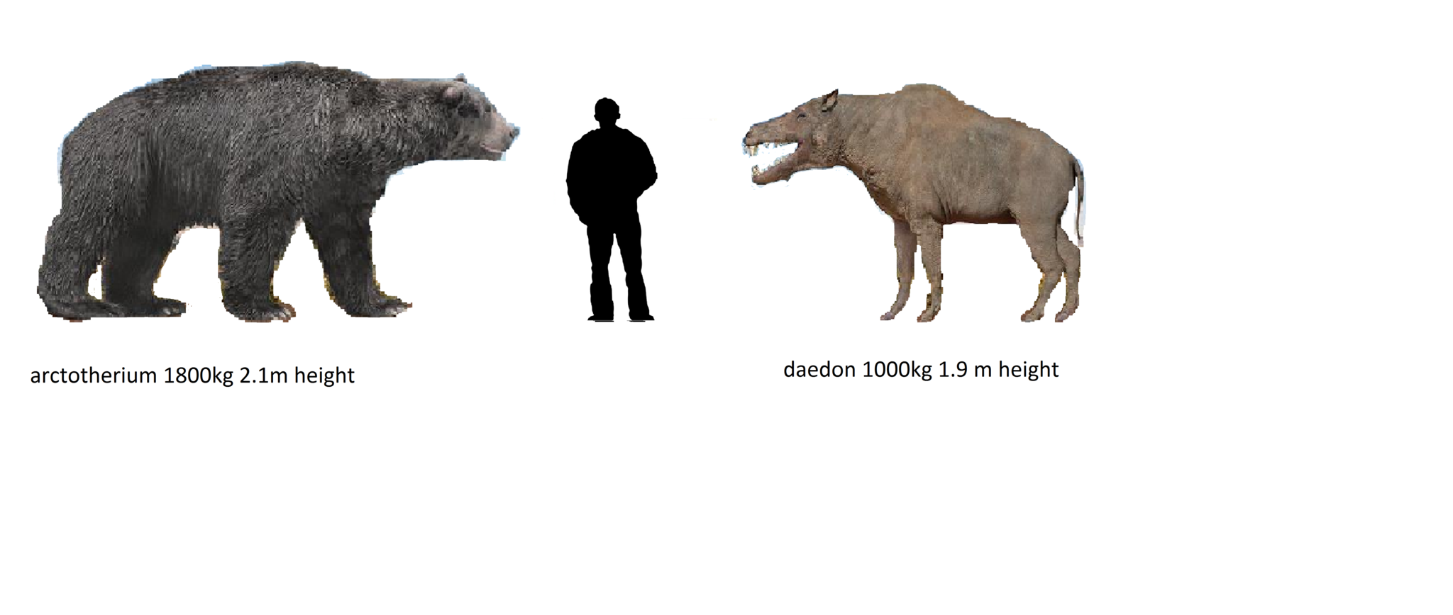 Доисторический медведь Арктотерий. Арктотерий Arctotherium Angustidens самый крупный Короткомордый медведь. Арктотерий рост вес. Южноамериканский Арктотерий.