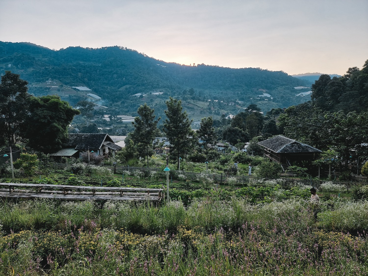 รีวิว Mori natural farm ที่พักฟาร์มสไตล์ญี่ปุ่นในหุบเขา อ.แม่ริม จ.
