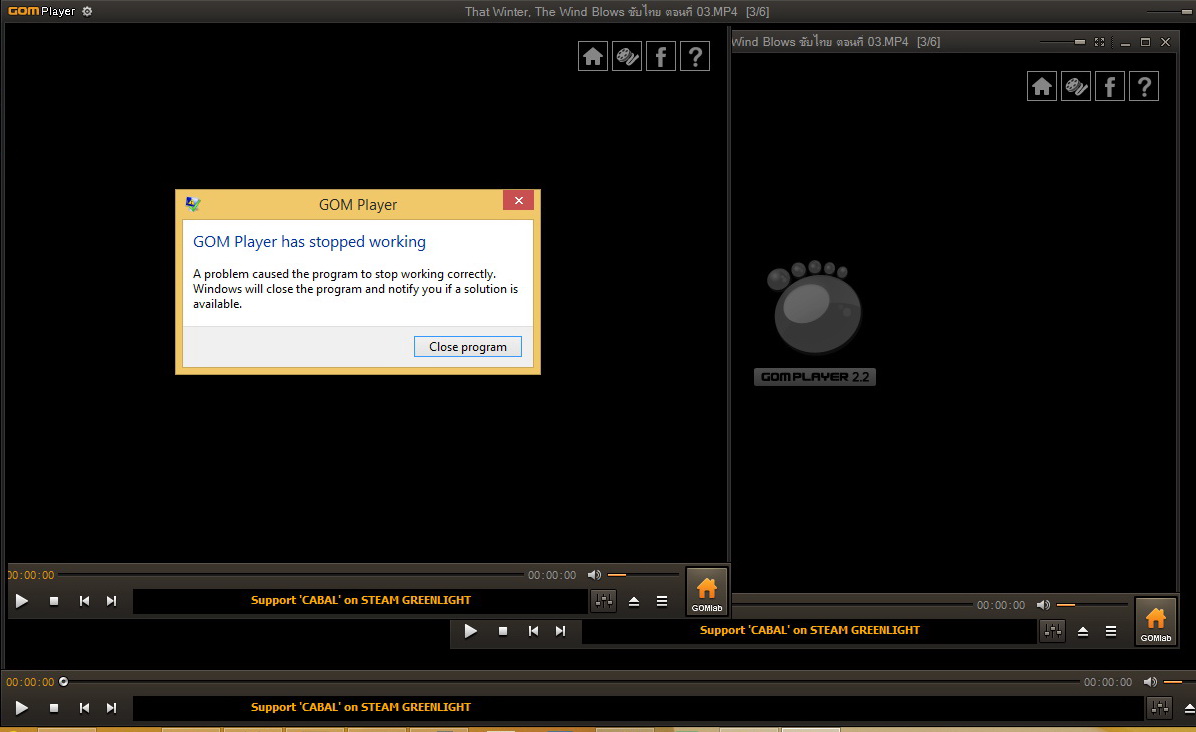gom player has stopped working