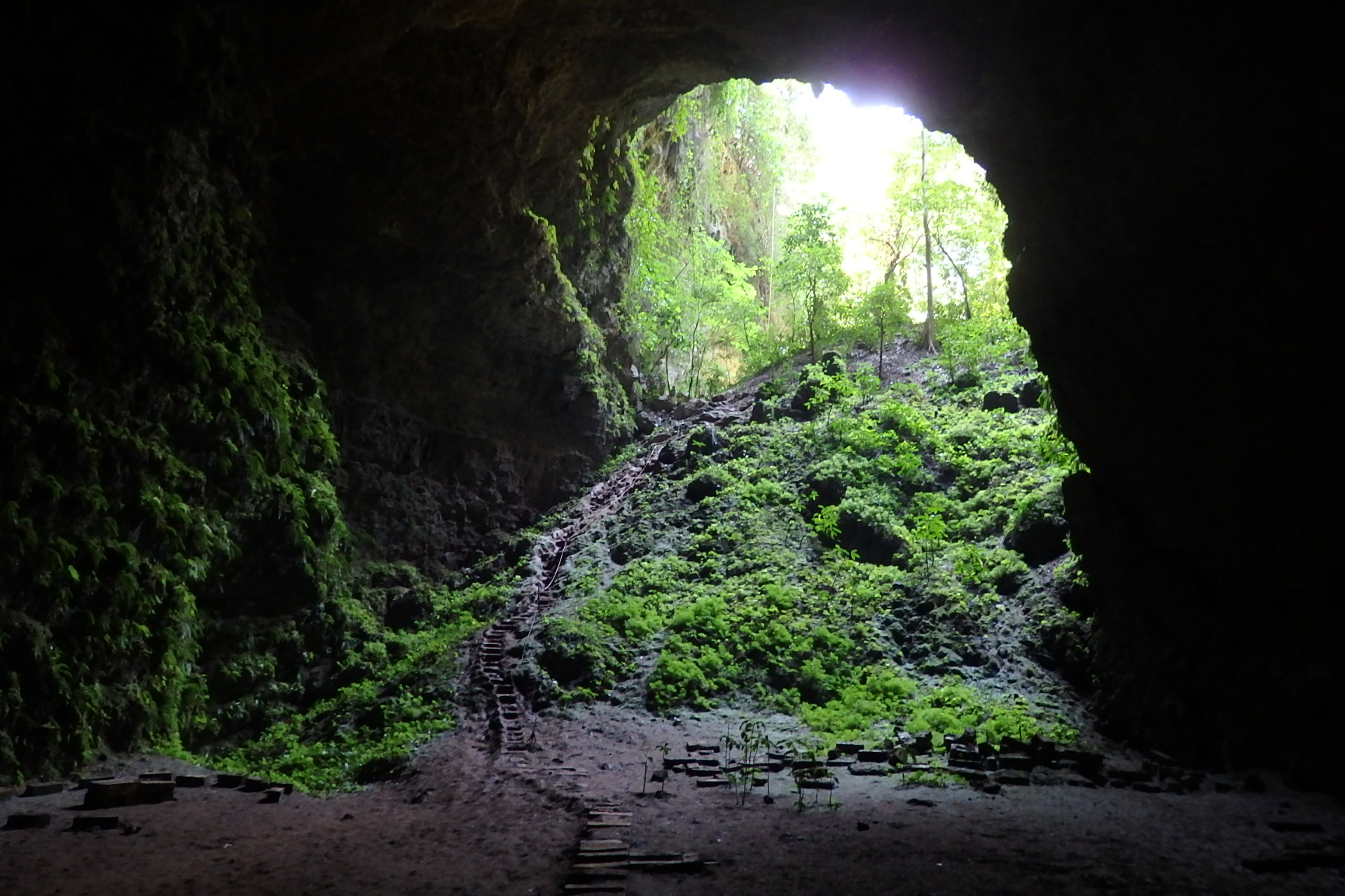 Cave adventures