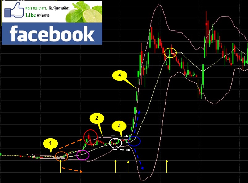 Bollinger bands pantip