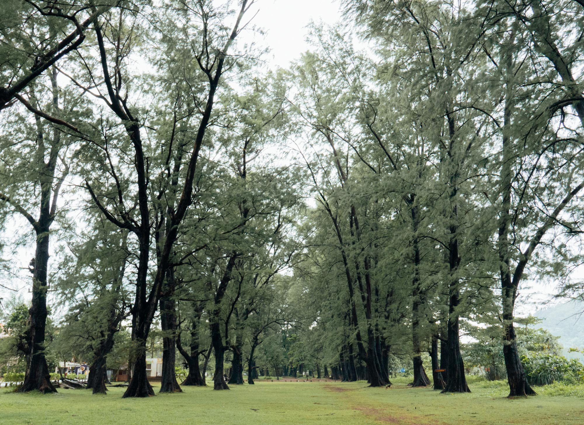 Bella nara naiyang. Naiyang Park Resort.