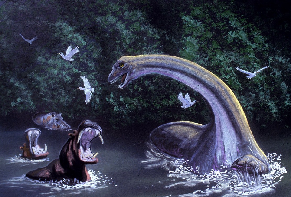 สัตว์ตำนานที่ชื่อ Mokele-Mbembe ปัจจุบันตอนนี้ เขาสรุปว่าไม่มีจริงหรือยังค้นหากันอยู่ครับ  - Pantip