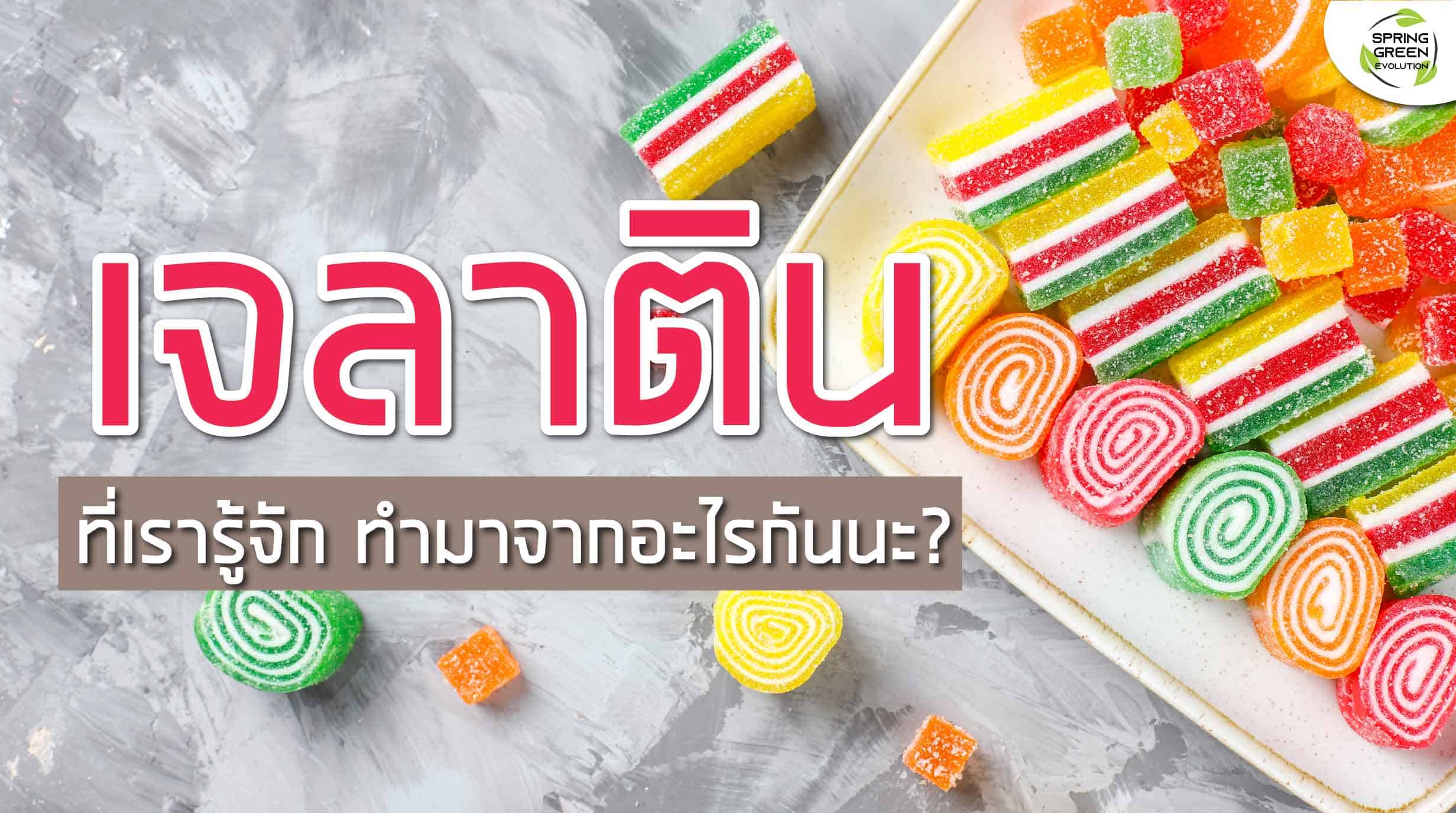 มารู้จักกับ “เจลาติน” คืออะไร? ใช้ทำอะไรบ้าง? pantip