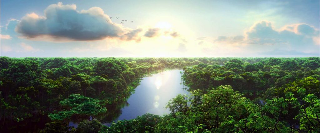 เรื่องน่ารู้ป่าอเมซอน Amazon - Pantip