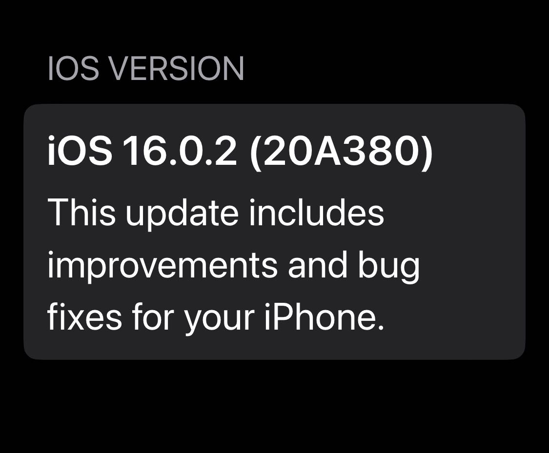 ios 16.0 2 20a380