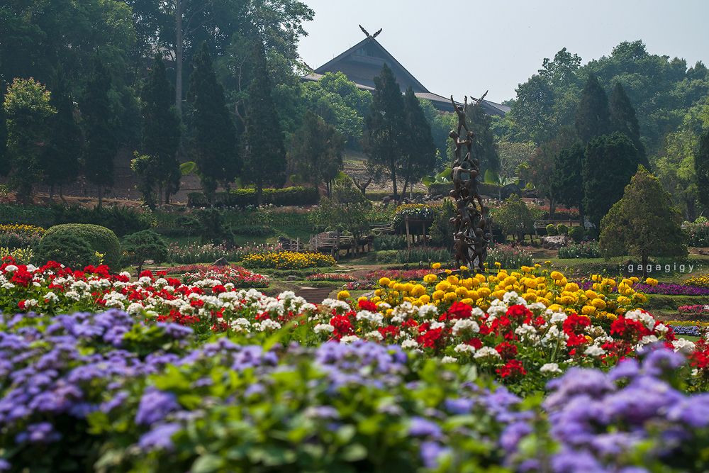 เชียงราย เที่ยว, pantip, review, Chiang rai, ที่เที่ยวเชียงราย, ที่กินเชียงราย, ของอร่อยเชียงราย, ร้านอร่อย เชียงราย, เชียงราย เที่ยวไหนดี, เชียงราย ที่พัก, โพธิ์วดล รีสอร์ท แอนด์ สปา, Phowadol Resort & Spa, วัดพระแก้ว, ร้านกาแฟ เชียงราย, เบเกอรี่ เชียงราย, ร้านบรรยากาศดี เชียงราย, ชีวิตธรรมดา เชียงราย, วัดร่องขุ่น, ไร่บุญรอด, Singha Park, เที่ยววัดเชียงราย, Bangkok airways, ศาลหลักเมือง เชียงราย, ภูภิรมย์ เชียงราย, ใบชา, ไร่ชา, บ้านดำ เชียงราย, ถนนคนเดิน เชียงราย, หอนาฬิกา เชียงราย, ดอยตุง, พระตำหนักดอยตุง, แม่สาย, ท่าขี้เหล็ก, หลู้ลำ เชียงราย, คำธนา เชียงราย, KhamThana Hotel Chiang Rai, ไร่ชาฉุยฟง, สามเหลี่ยมทองคำ, วัดถ้ำป่าอาชาทอง, พระขี่ม้า บิณฑบาตร, ครูบาเหนือชัย, วัดพระธาตุจอมจันทร์, ไร่เชิญตะวัน,