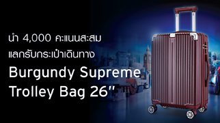 silver supreme trolley bag 26