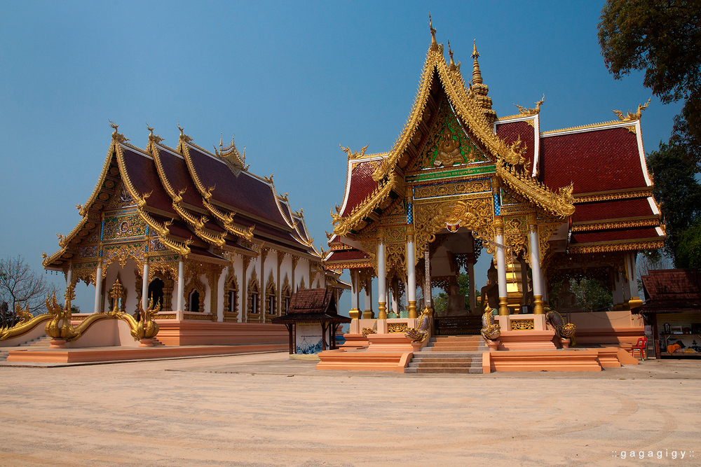 เชียงราย เที่ยว, pantip, review, Chiang rai, ที่เที่ยวเชียงราย, ที่กินเชียงราย, ของอร่อยเชียงราย, ร้านอร่อย เชียงราย, เชียงราย เที่ยวไหนดี, เชียงราย ที่พัก, โพธิ์วดล รีสอร์ท แอนด์ สปา, Phowadol Resort & Spa, วัดพระแก้ว, ร้านกาแฟ เชียงราย, เบเกอรี่ เชียงราย, ร้านบรรยากาศดี เชียงราย, ชีวิตธรรมดา เชียงราย, วัดร่องขุ่น, ไร่บุญรอด, Singha Park, เที่ยววัดเชียงราย, Bangkok airways, ศาลหลักเมือง เชียงราย, ภูภิรมย์ เชียงราย, ใบชา, ไร่ชา, บ้านดำ เชียงราย, ถนนคนเดิน เชียงราย, หอนาฬิกา เชียงราย, ดอยตุง, พระตำหนักดอยตุง, แม่สาย, ท่าขี้เหล็ก, หลู้ลำ เชียงราย, คำธนา เชียงราย, KhamThana Hotel Chiang Rai, ไร่ชาฉุยฟง, สามเหลี่ยมทองคำ, วัดถ้ำป่าอาชาทอง, พระขี่ม้า บิณฑบาตร, ครูบาเหนือชัย, วัดพระธาตุจอมจันทร์, ไร่เชิญตะวัน,