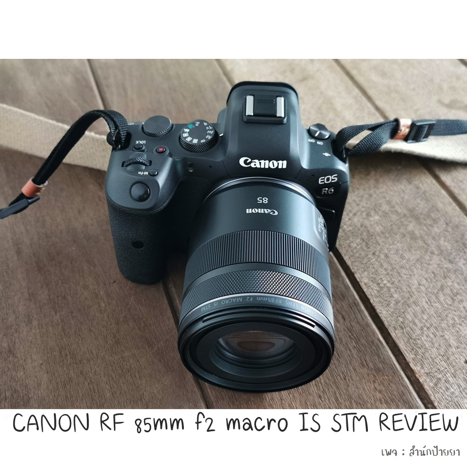 canon r6 pantip