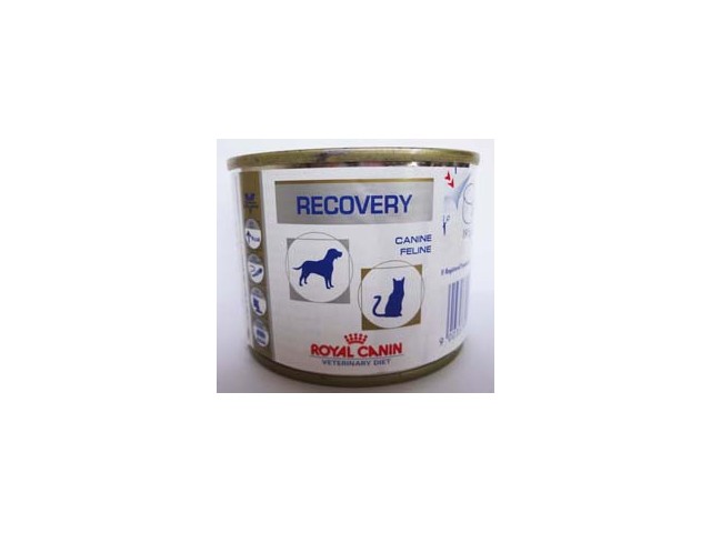 Royal canin recovery clearance pantip