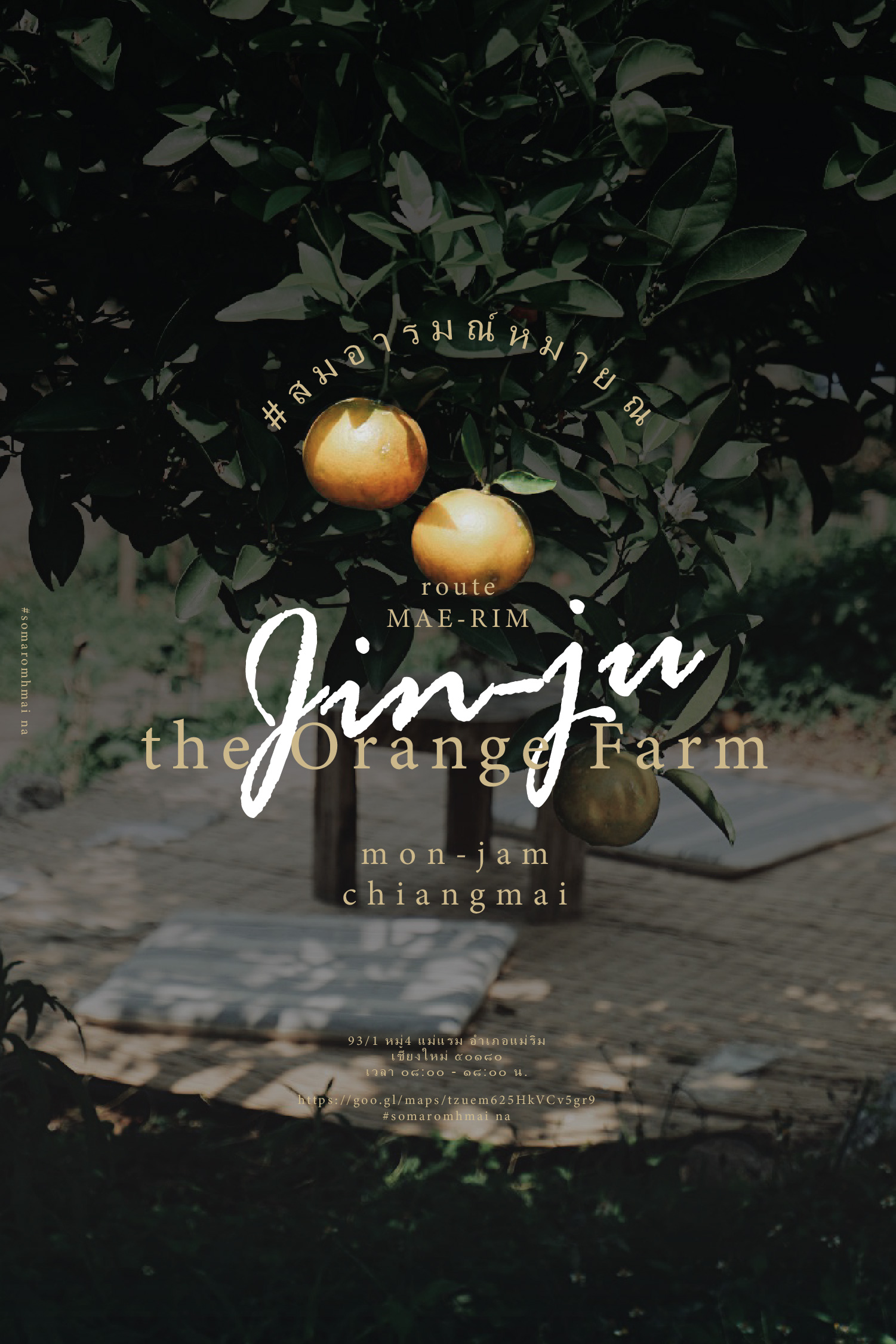 [CR] #สมอารมณ์หมาย ณ JINJU the orange farm – สวนส้มจินจู pantip