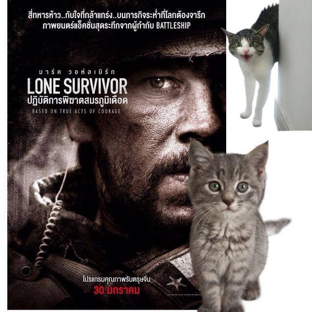 แอ๊ดแมวจะเม้าส์ให้ฟังฮะ Lone Survivor ปฏิบัติการพิฆาตสมรภูมิเดือด  รู้รึเปล่าฮะว่า... - Pantip