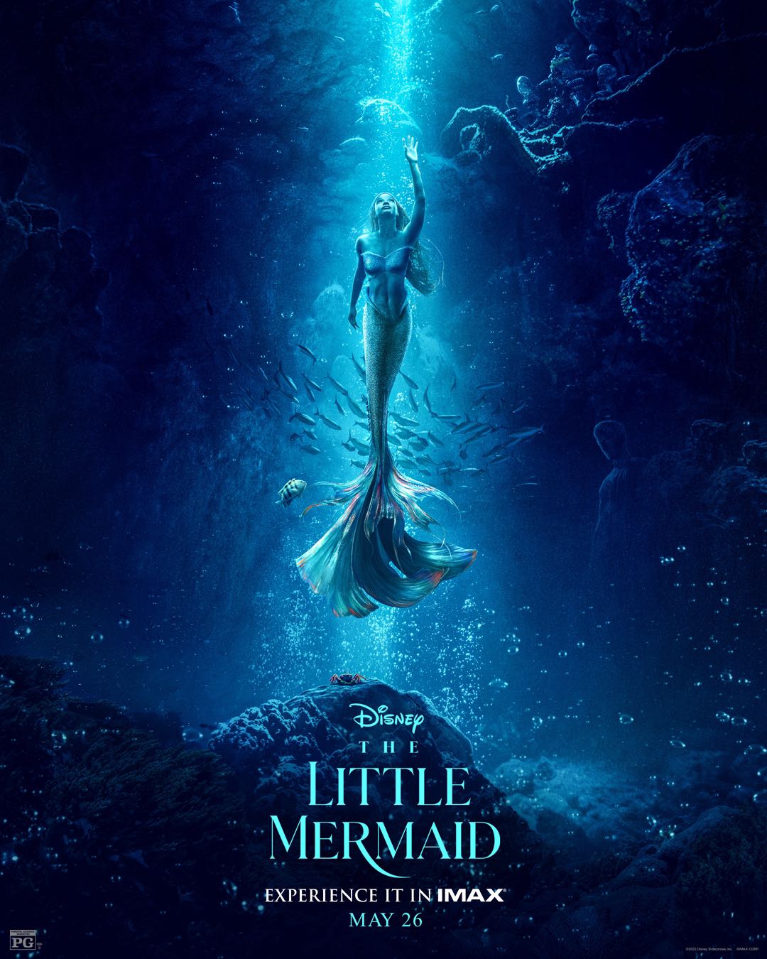 The Little Mermaid Imax 3d 710 L ภาพสวยทะลุจอเหมือนได้แหวกว่ายไปกับฝูงปลาใต้ท้องทะเล แต่