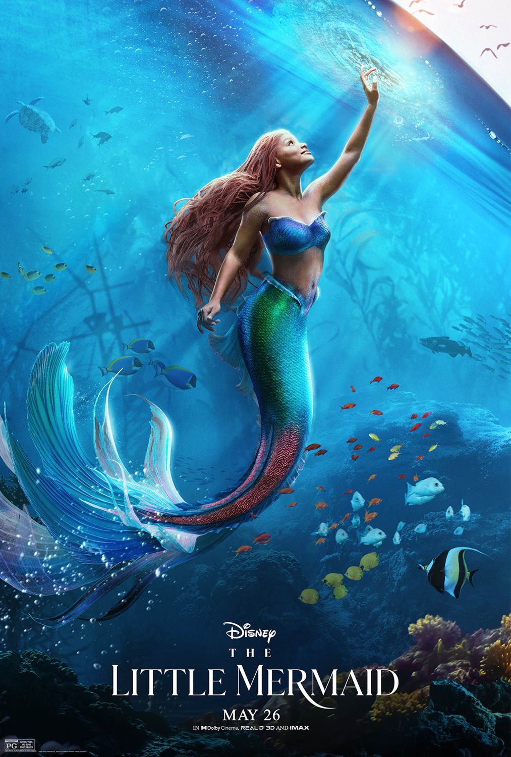 The Little Mermaid IMAX 3D (7/10) l ภาพสวยทะลุจอ..เหมือนได้แหวกว่ายไป