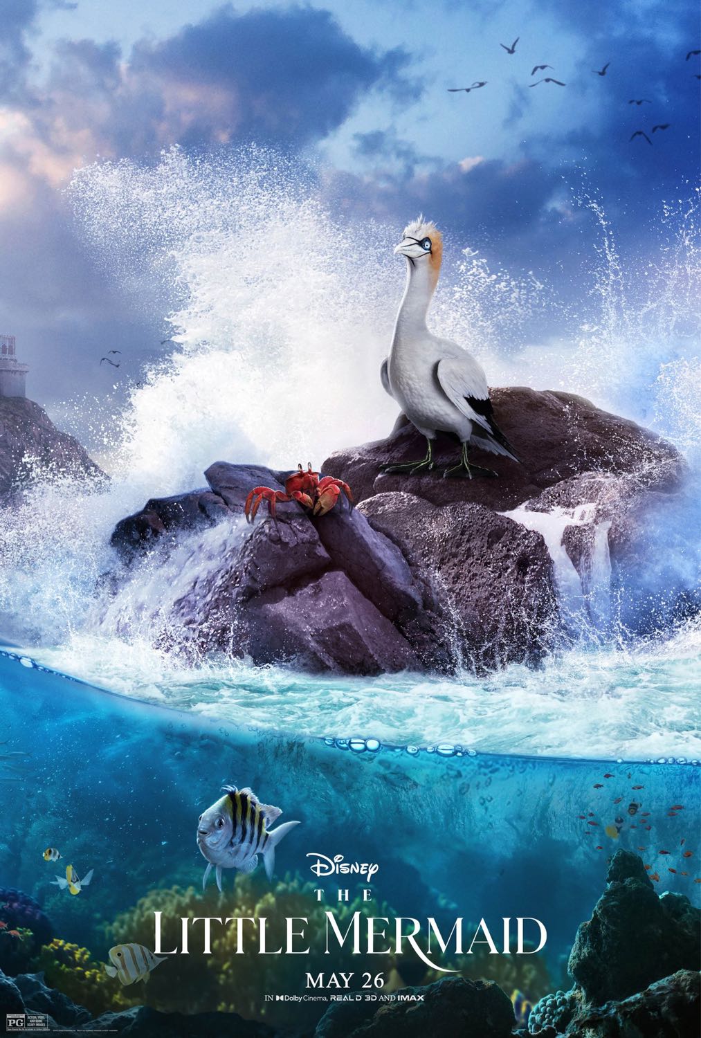 The Little Mermaid IMAX 3D (7/10) l ภาพสวยทะลุจอ..เหมือนได้แหวกว่ายไป