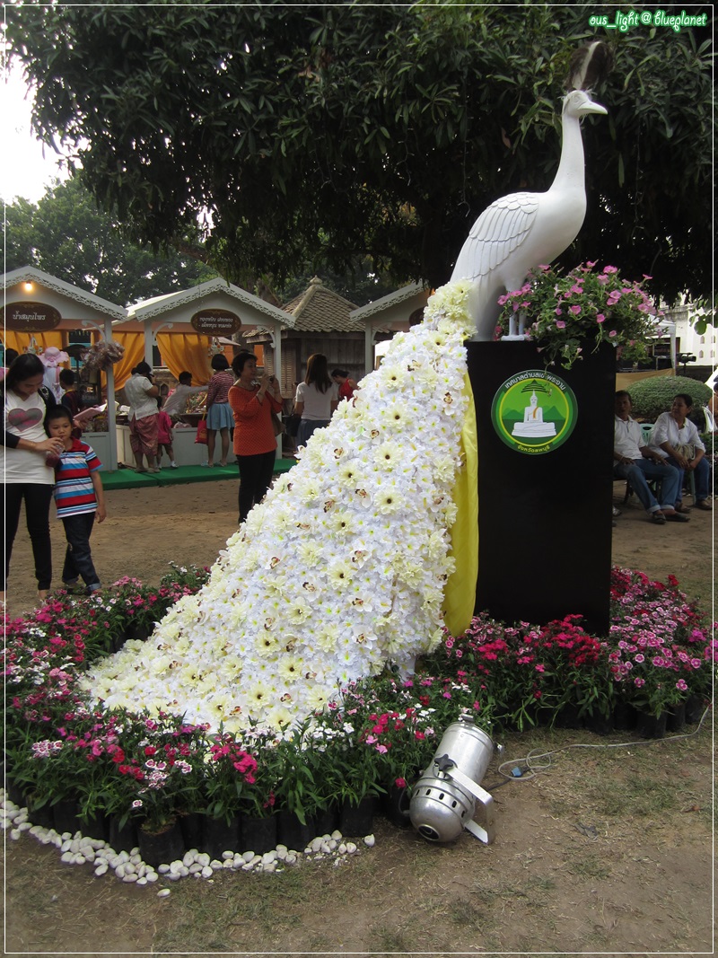 นวด นะ คะ พระประแดง รหัสไปรษณีย์